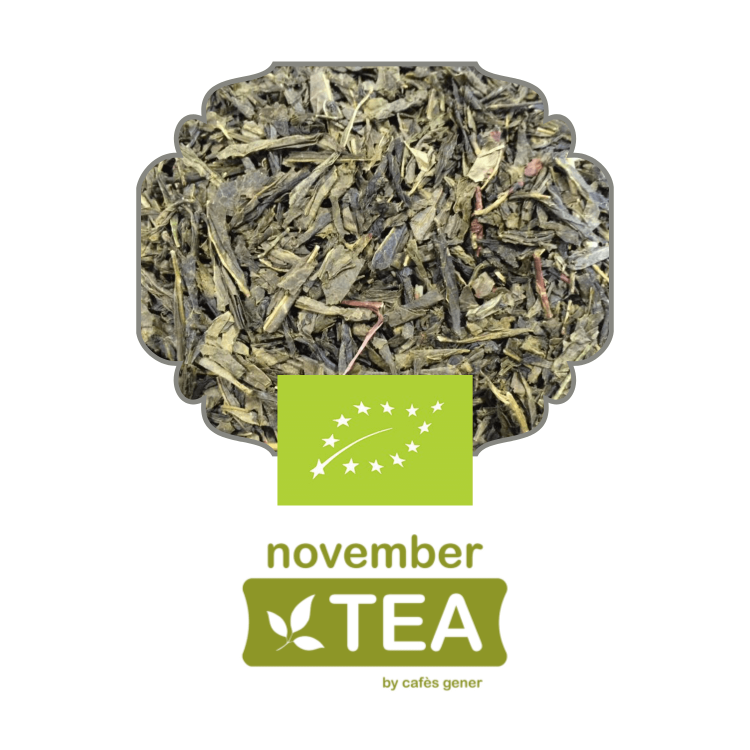 herbata-zielona-ekologiczna-japonska-sencha-november-tea-gener-los-vinos-and-cafe-gdynia-te
